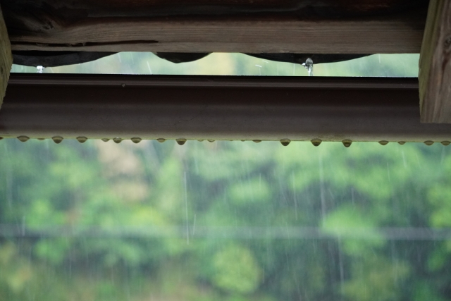 雨が降っている様子