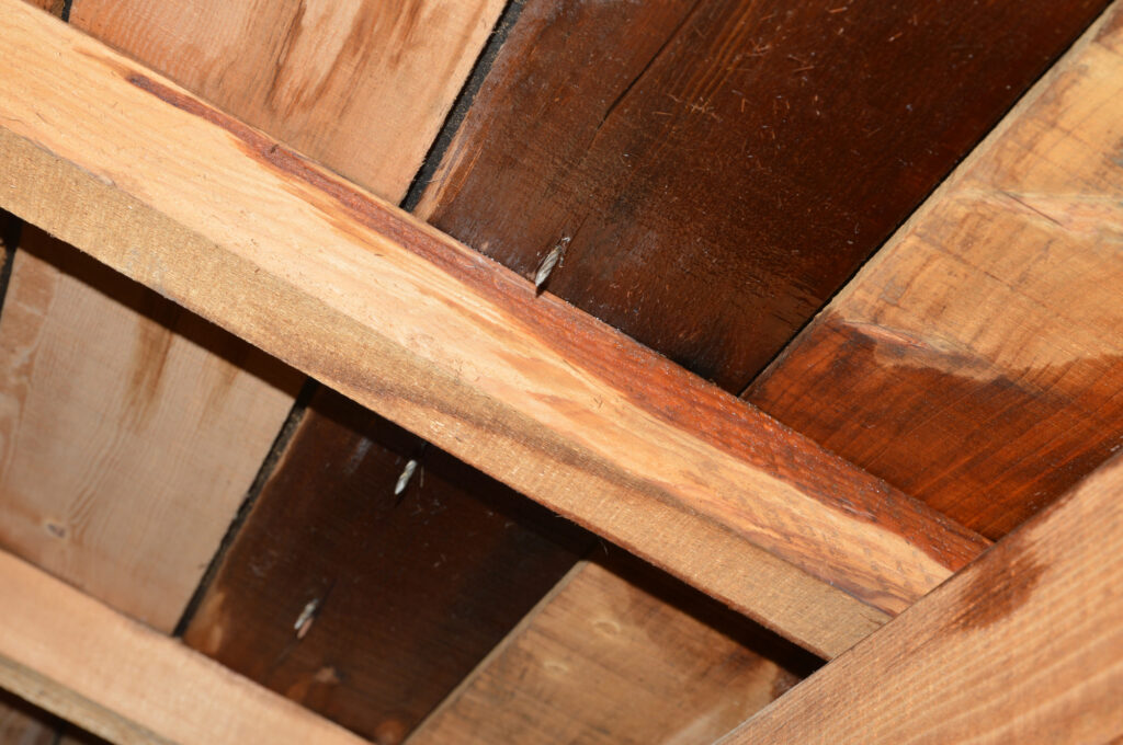 屋根の雨漏りを放置する6つのリスク！修理費用・修理事例・雨漏りの再発を防ぐ方法などを紹介